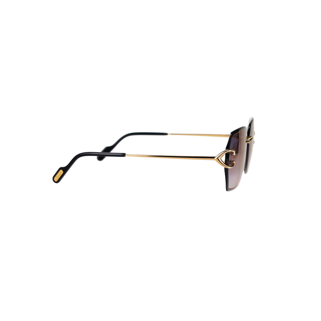 CT0466S  Signature C Sunglasses