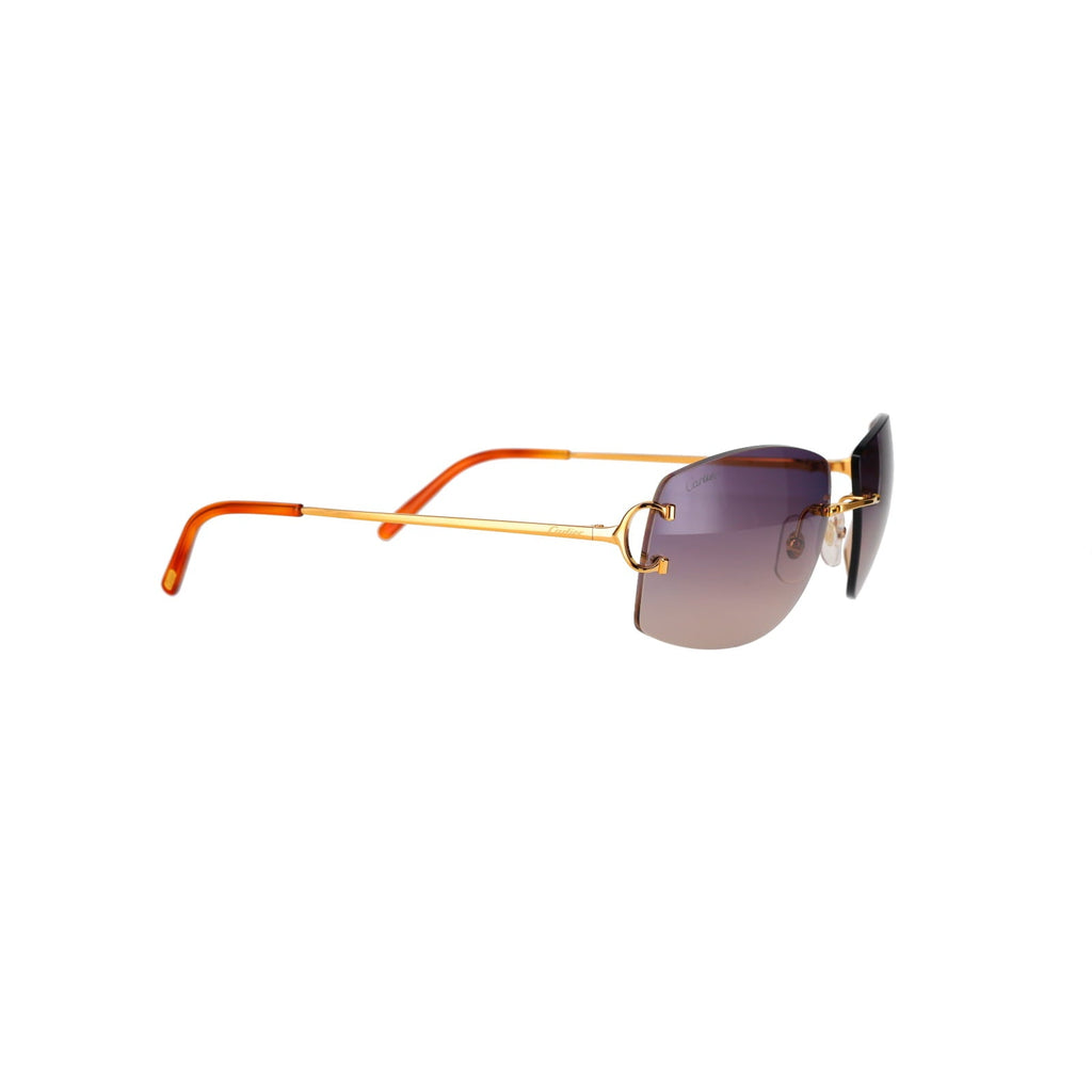 CT0008RS Signature C Sunglasses