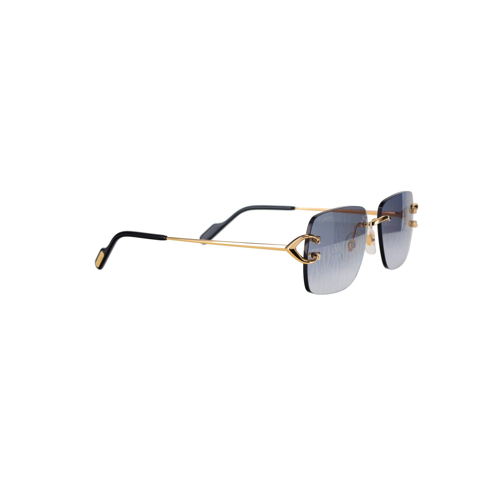 CT0330S Signature C  Sunglasses