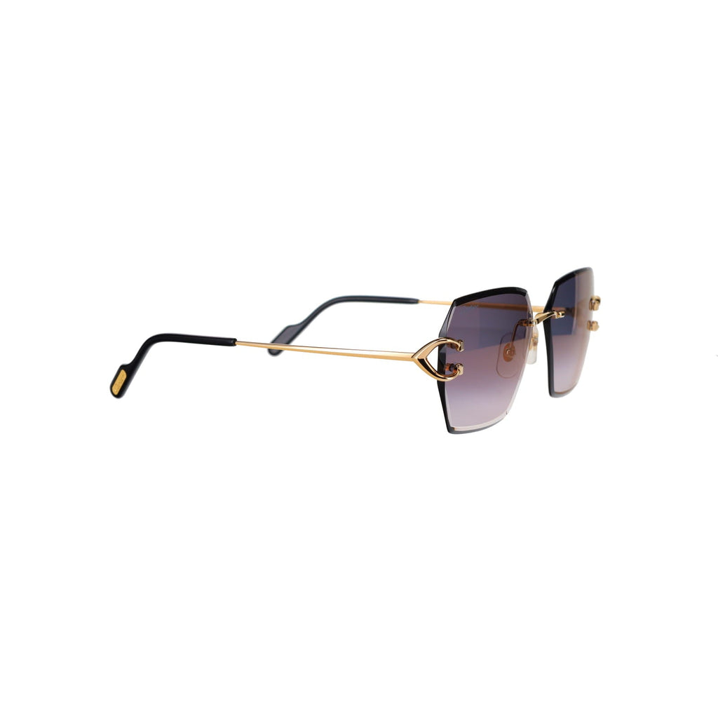 CT0466S  Signature C Sunglasses