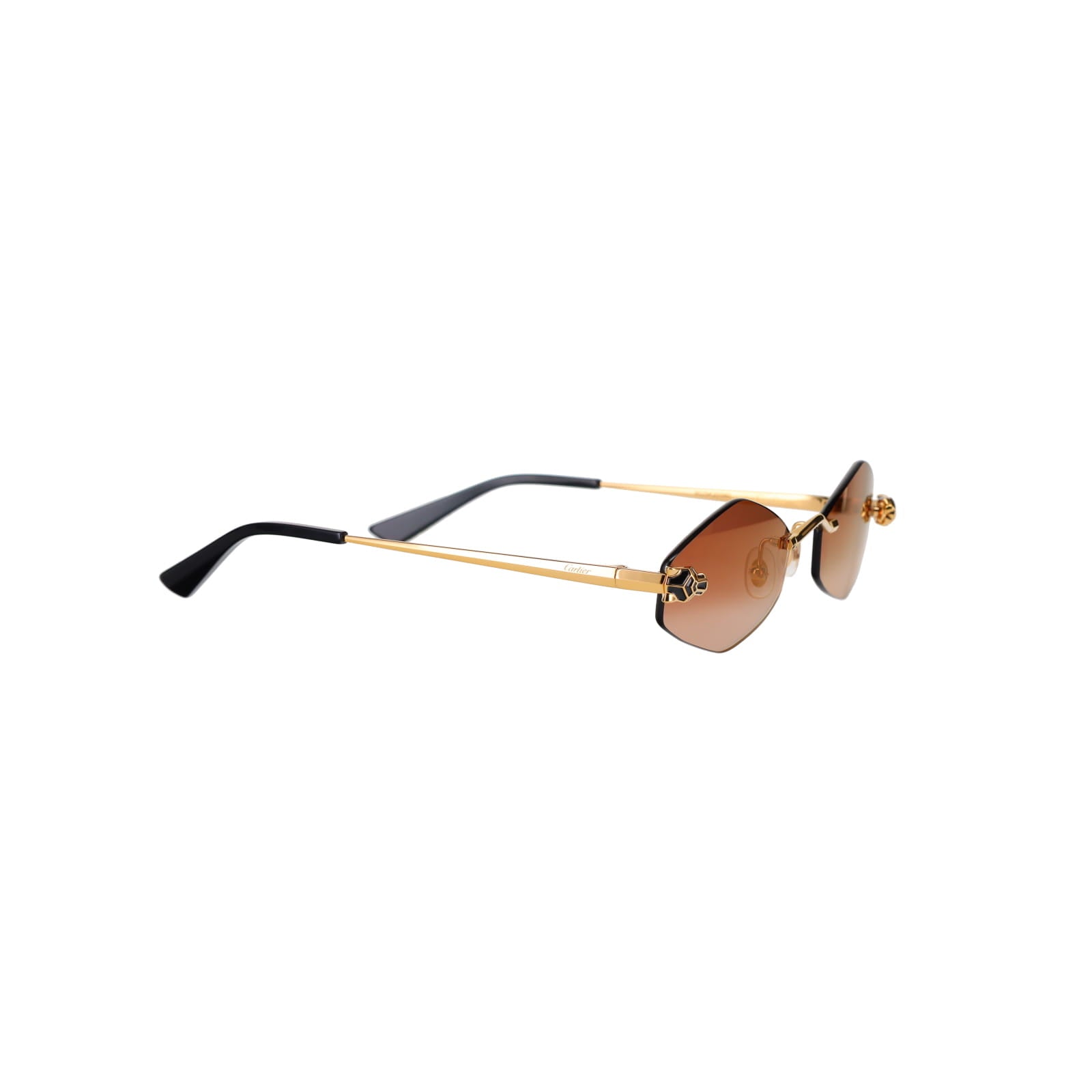 CT0433S Hexagonal Panthère Sunglasses