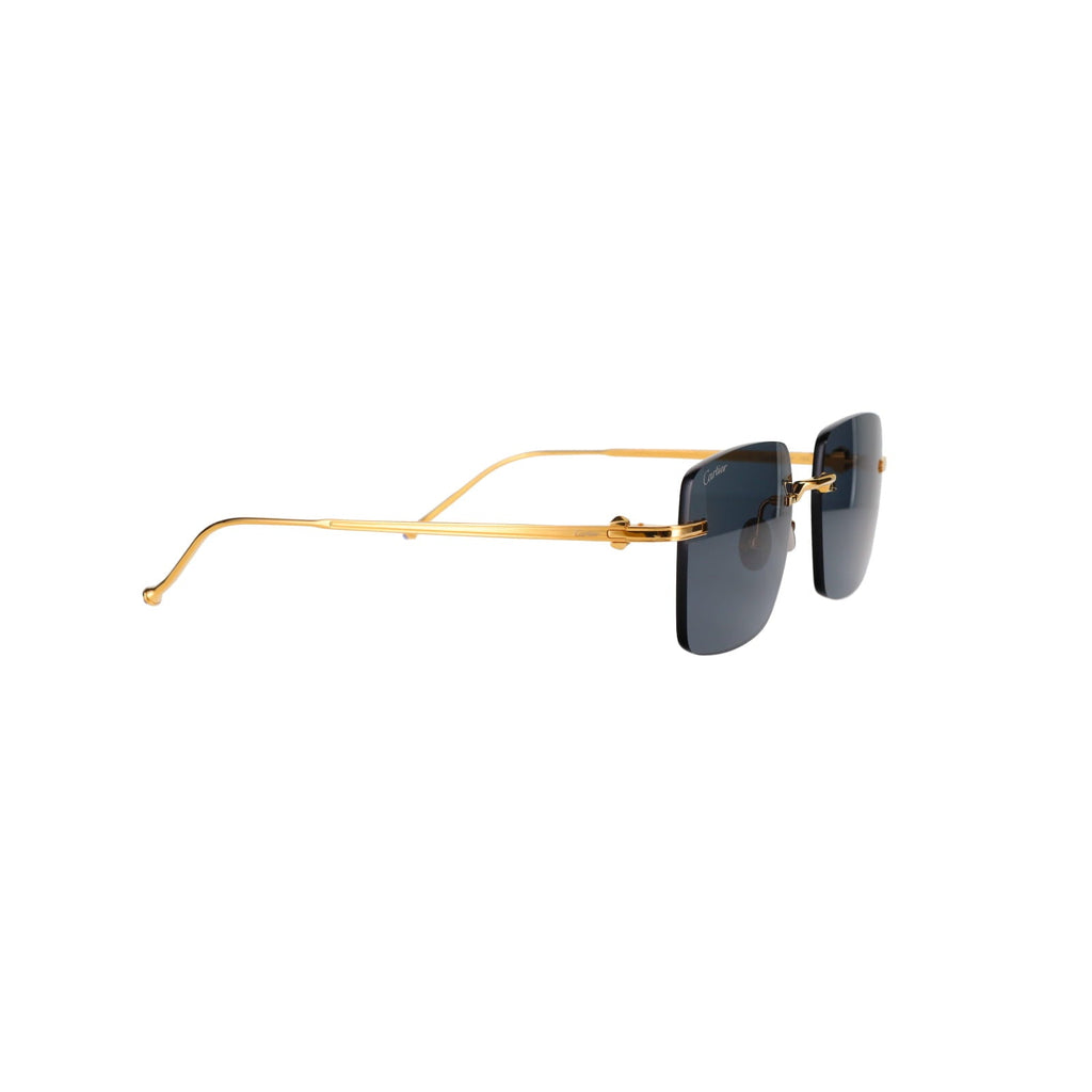 CT0403S Pasha Sunglasses