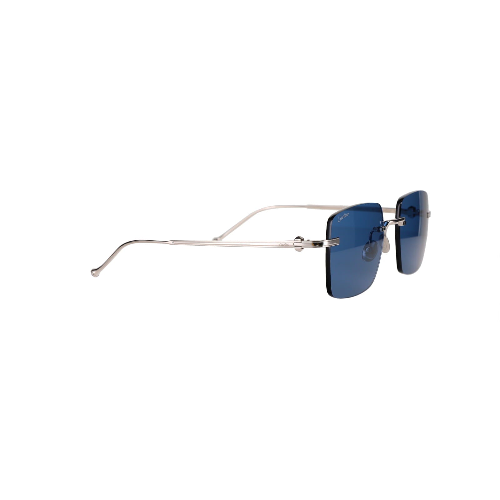 CT0403S Pasha Sunglasses