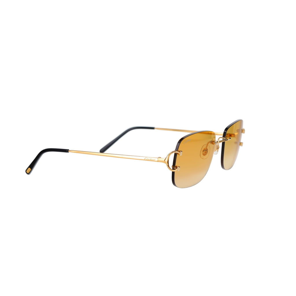 CT0011RS Signature C Sunglasses