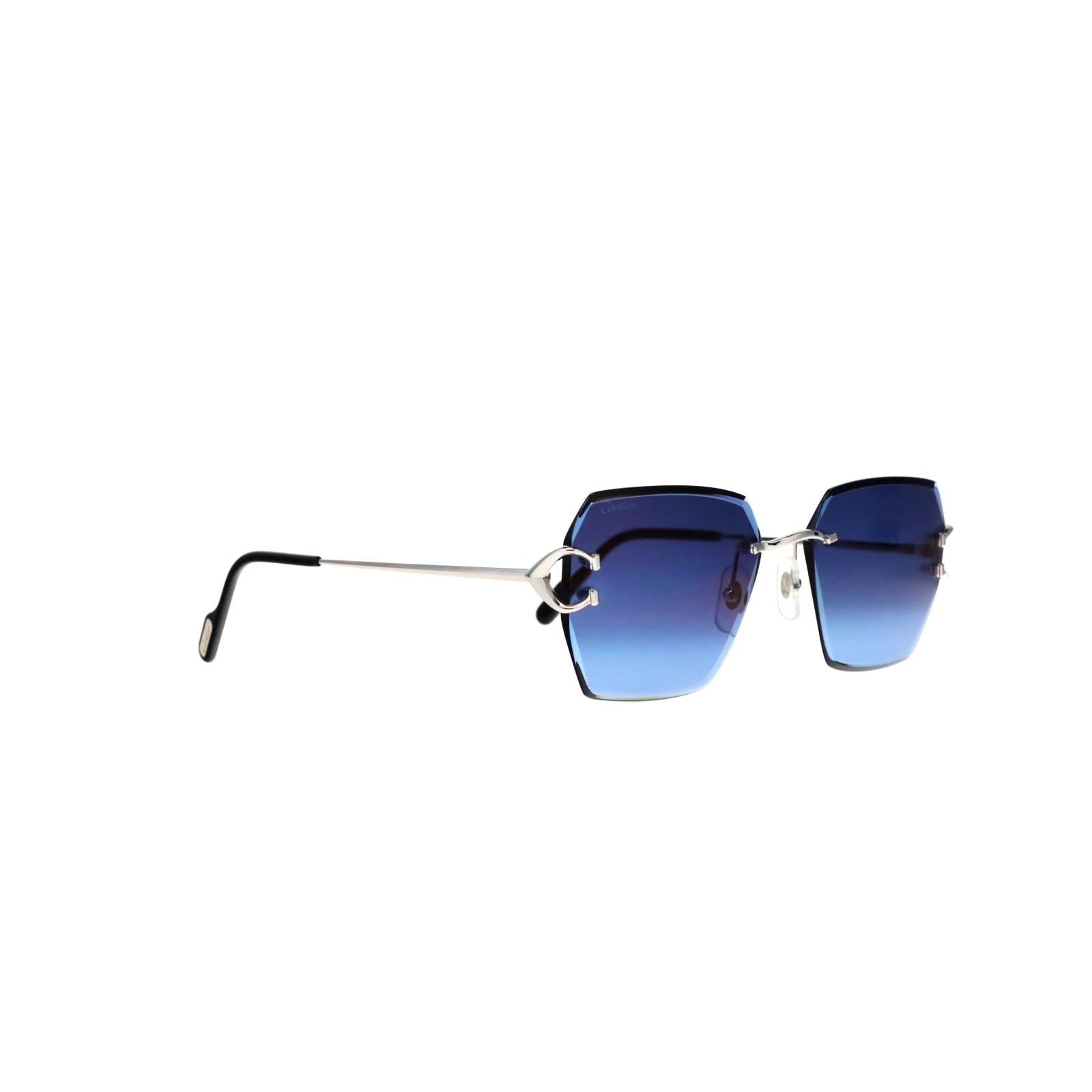 CT0466S  Signature C Sunglasses