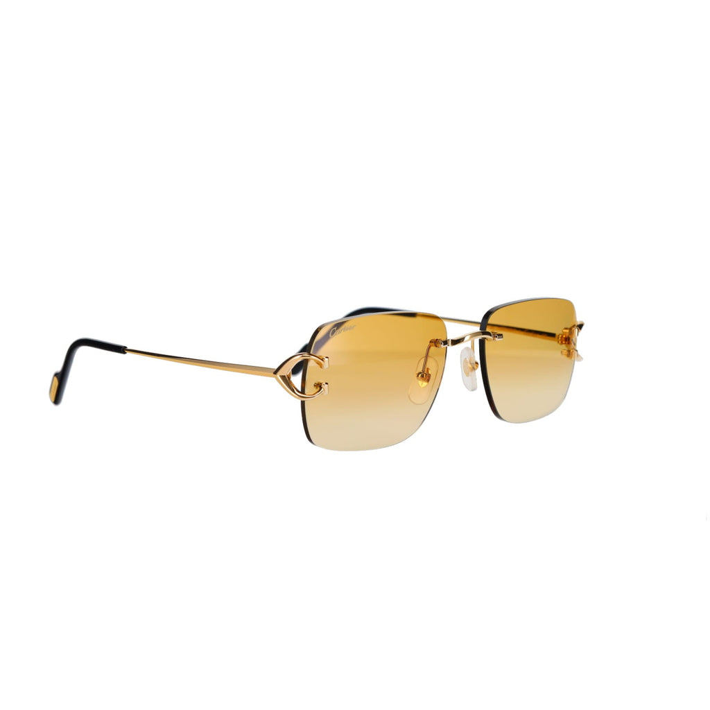 CT0330S Signature C  Sunglasses