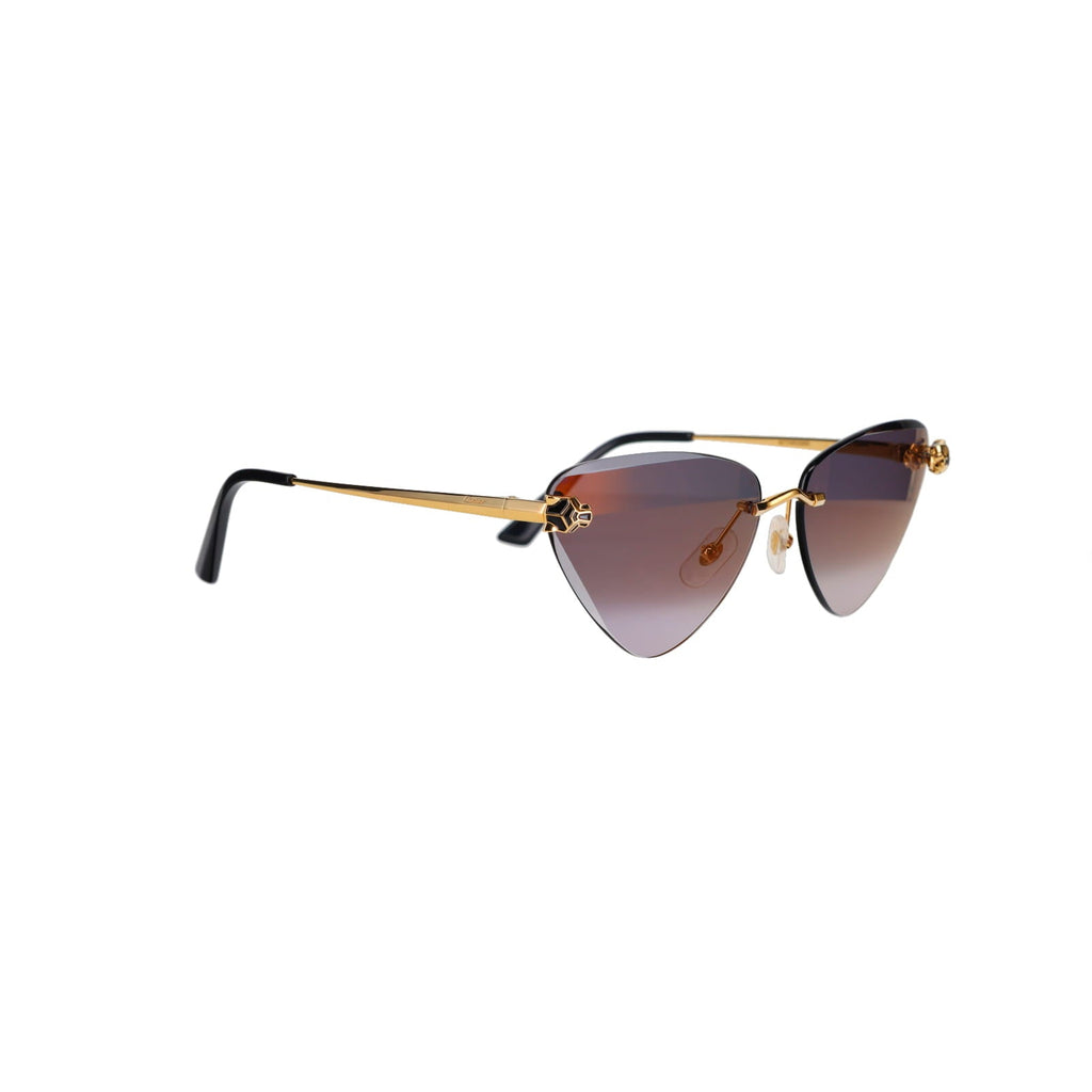 CT0399S Geometric Panthère Sunglasses
