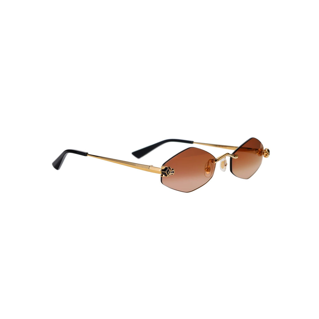 CT0433S Hexagonal Panthère Sunglasses