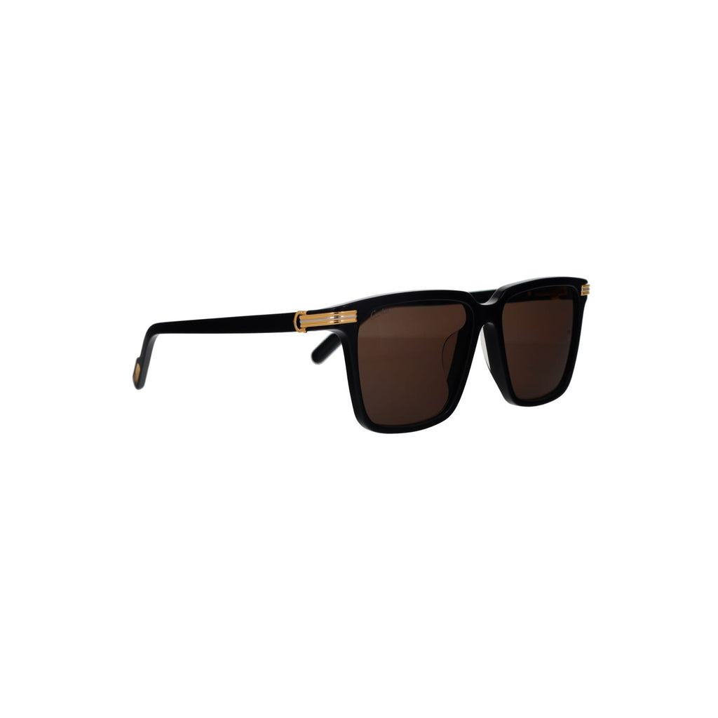 CT0366S Contemporary Acetate Sunglasses