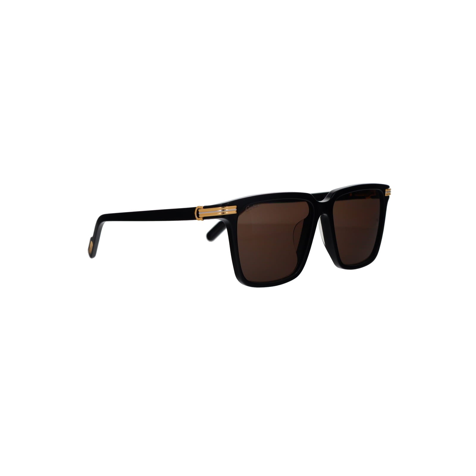 CT0366S Contemporary Acetate Sunglasses