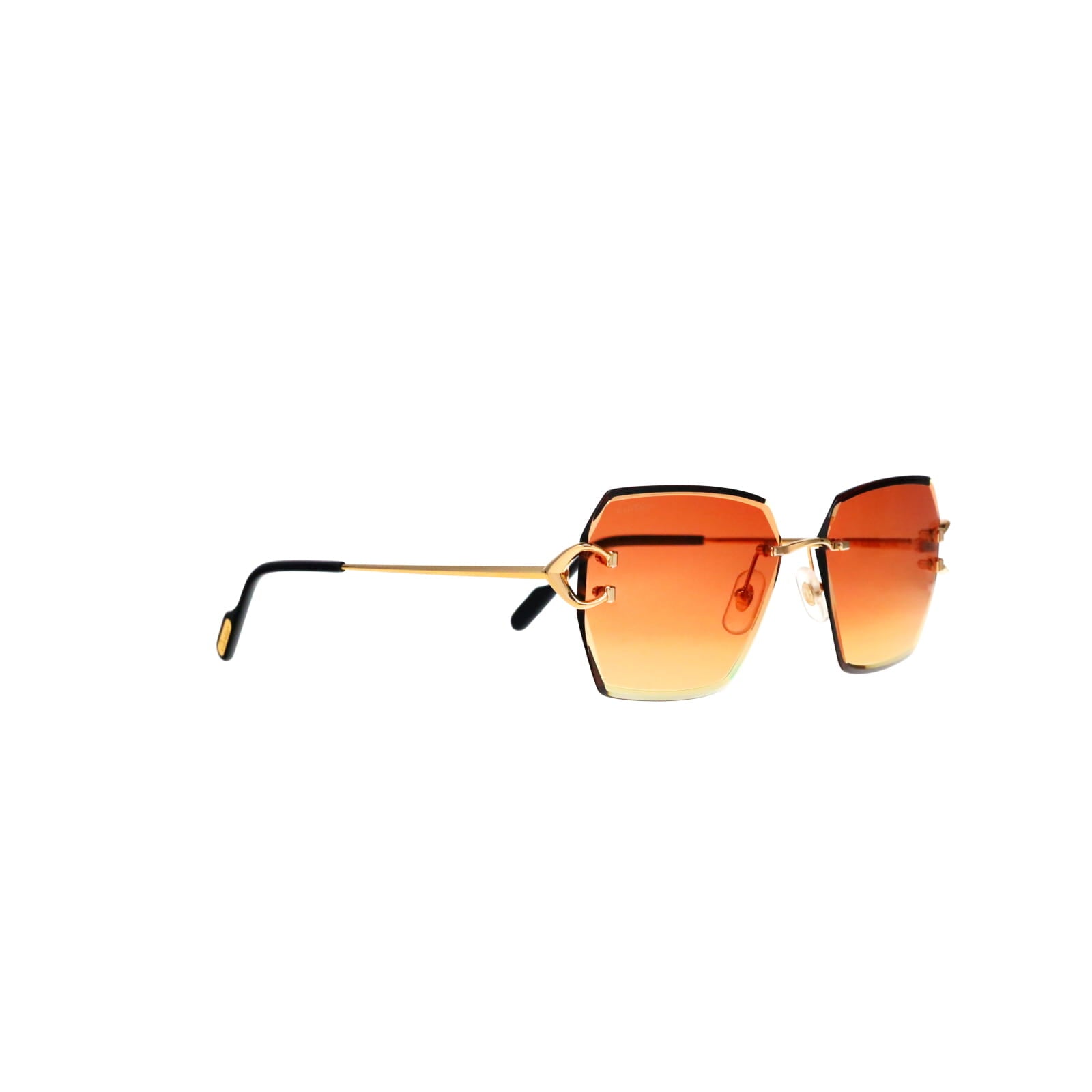 CT0466S  Signature C Sunglasses
