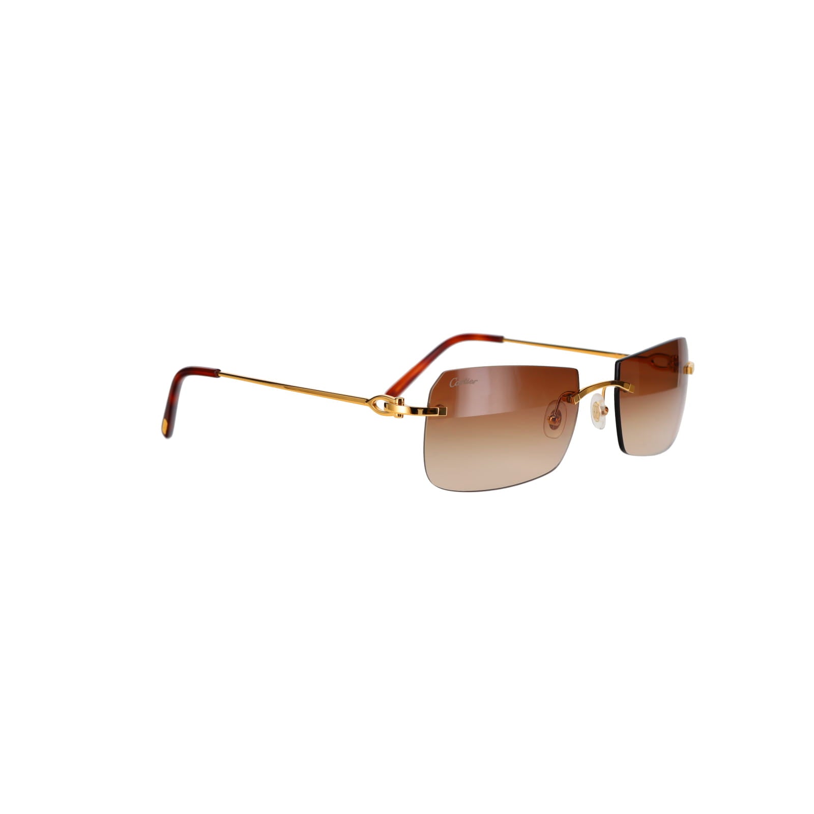 CT0006RS  C Décor Sunglasses