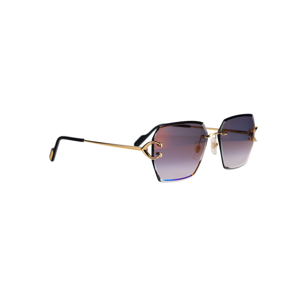 CT0466S  Signature C Sunglasses