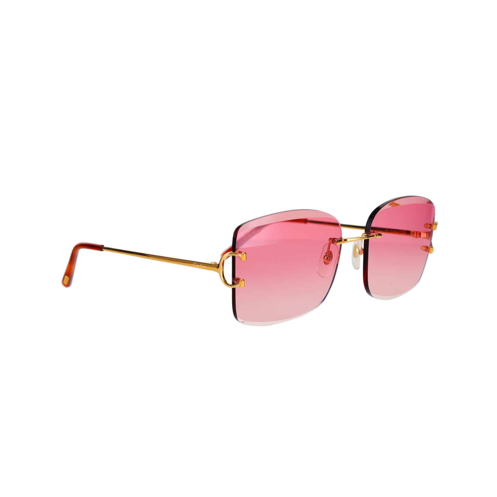 CT0007RS Signature C Sunglasses