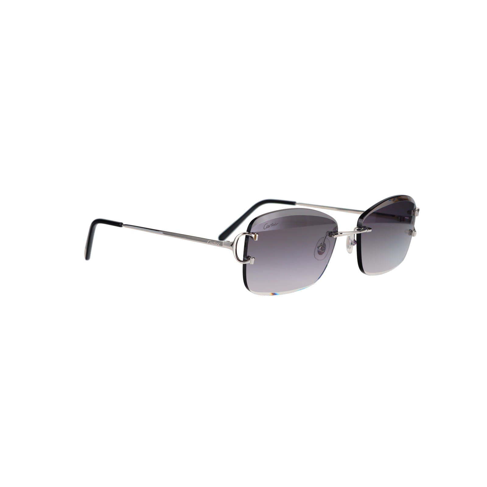 CT0010RS Signature C Sunglasses