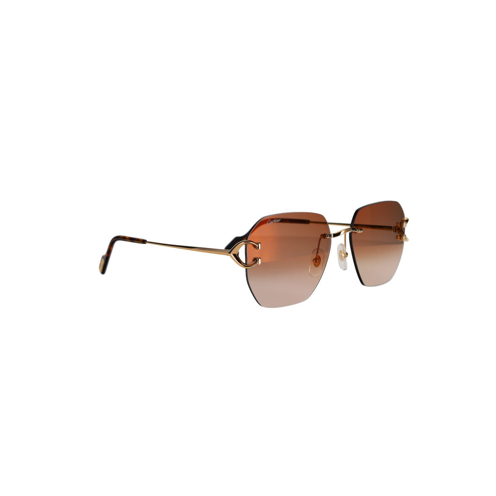 CT0394S Signature C Sunglasses