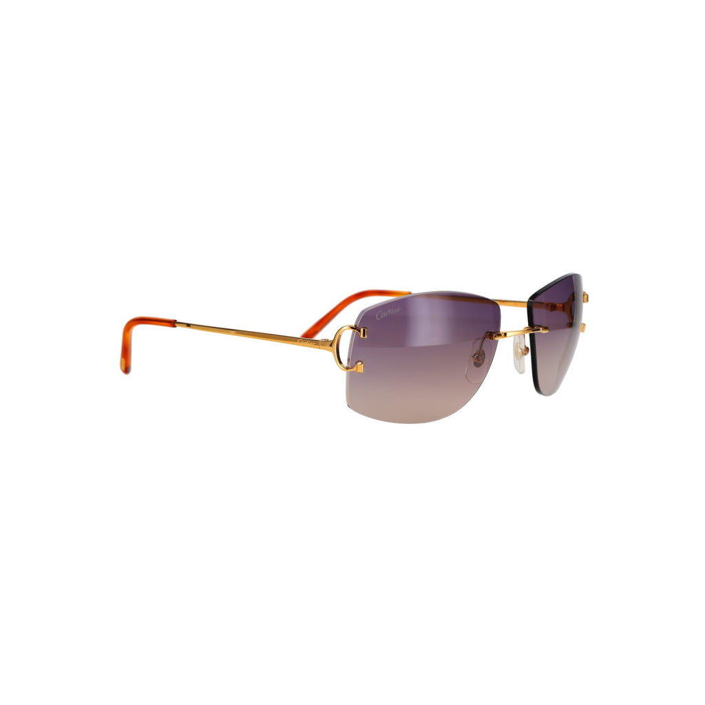 CT0008RS Signature C Sunglasses