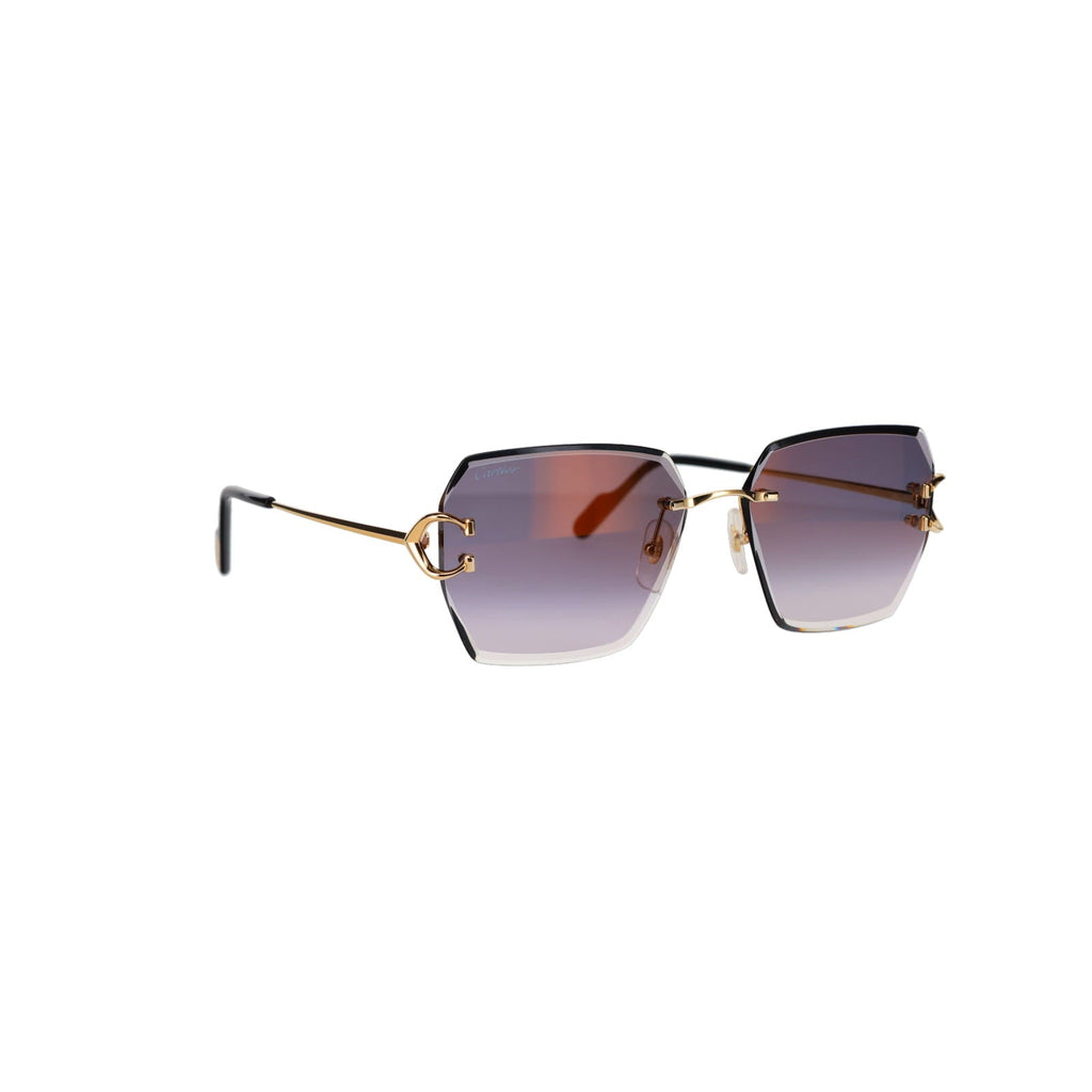 CT0466S  Signature C Sunglasses