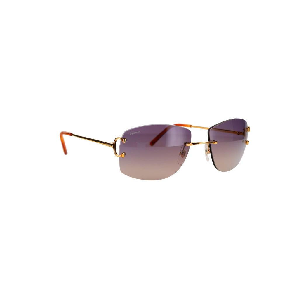 CT0008RS Signature C Sunglasses