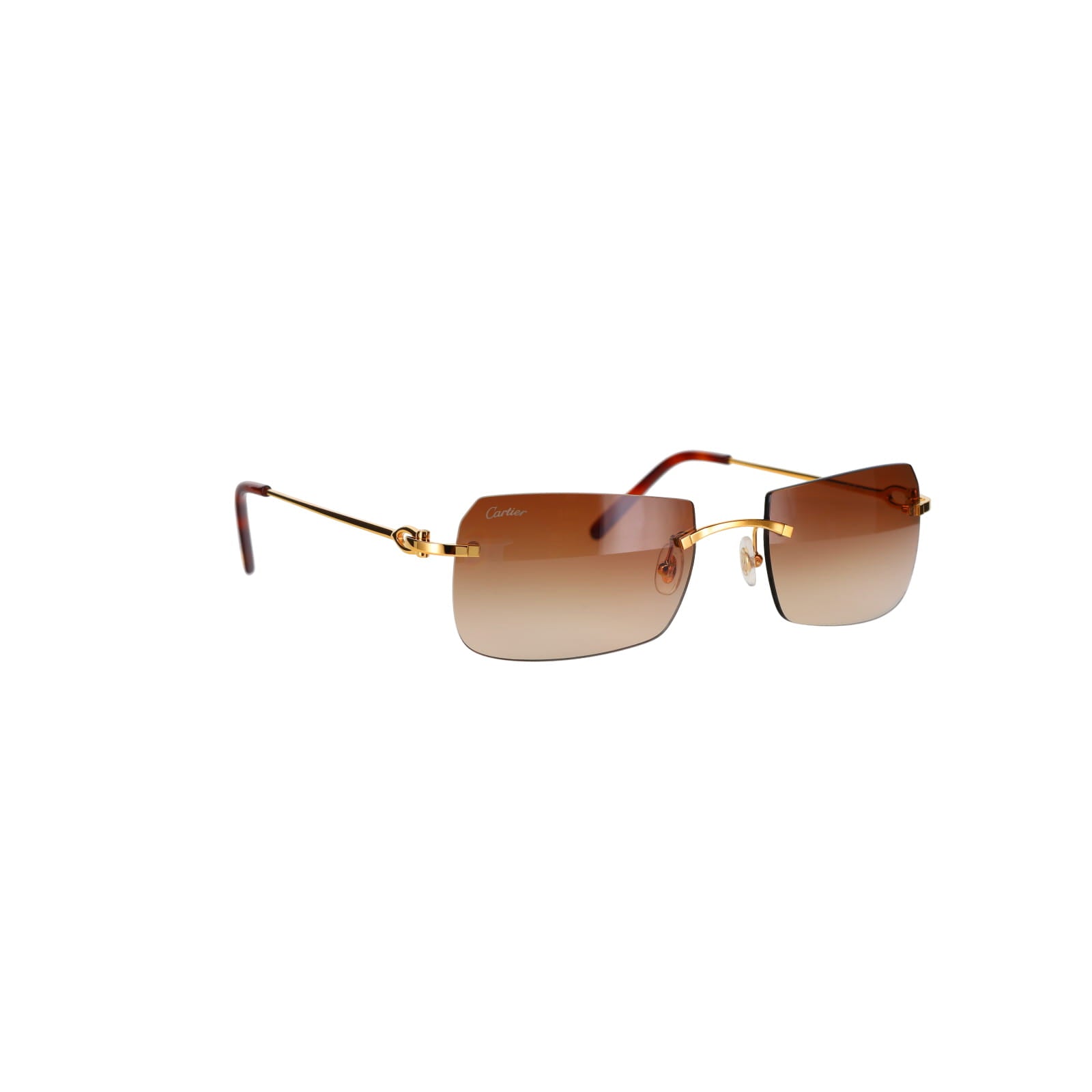 CT0006RS  C Décor Sunglasses