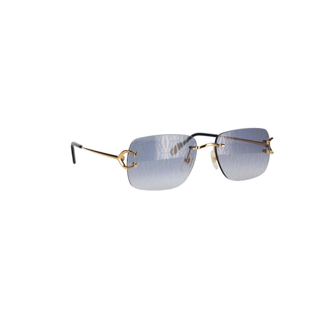 CT0330S Signature C  Sunglasses