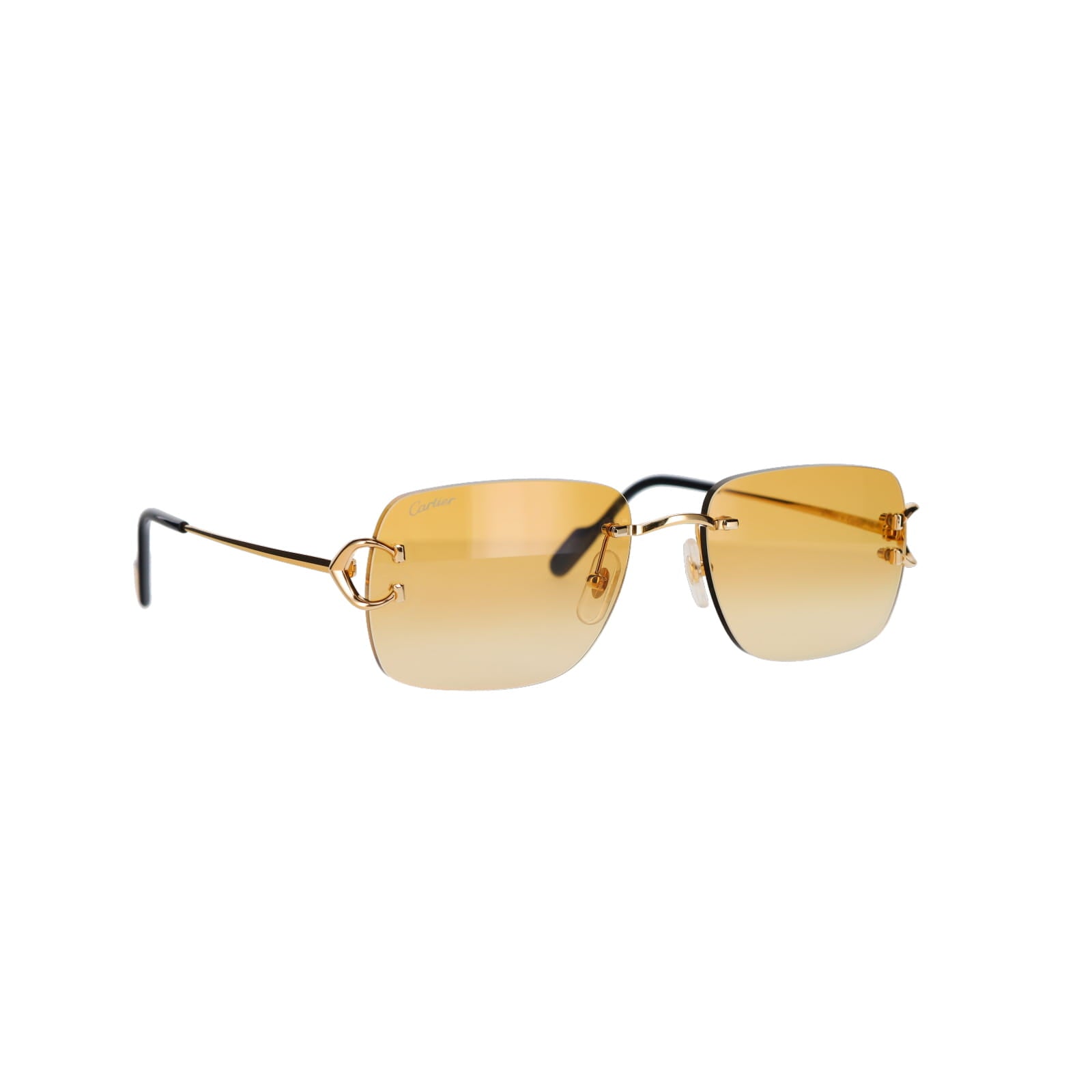 CT0330S Signature C  Sunglasses