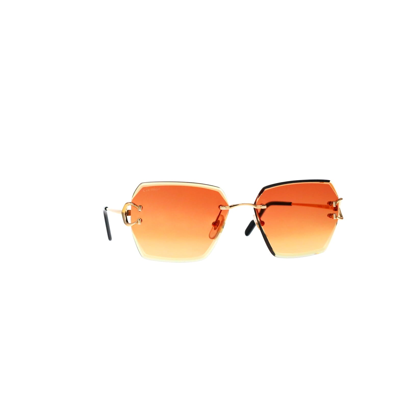 CT0466S  Signature C Sunglasses