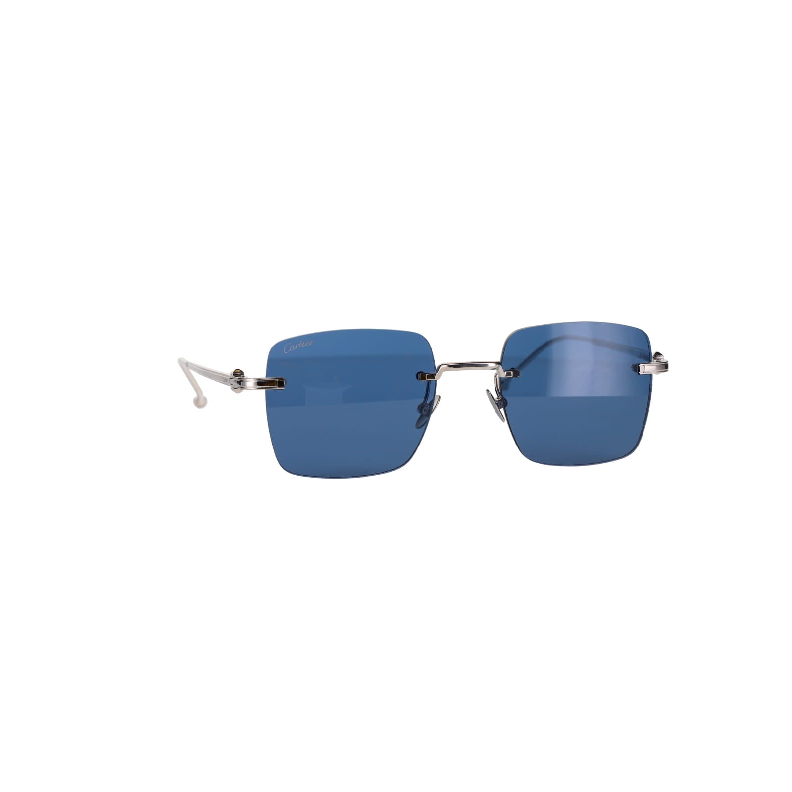 CT0403S Pasha Sunglasses