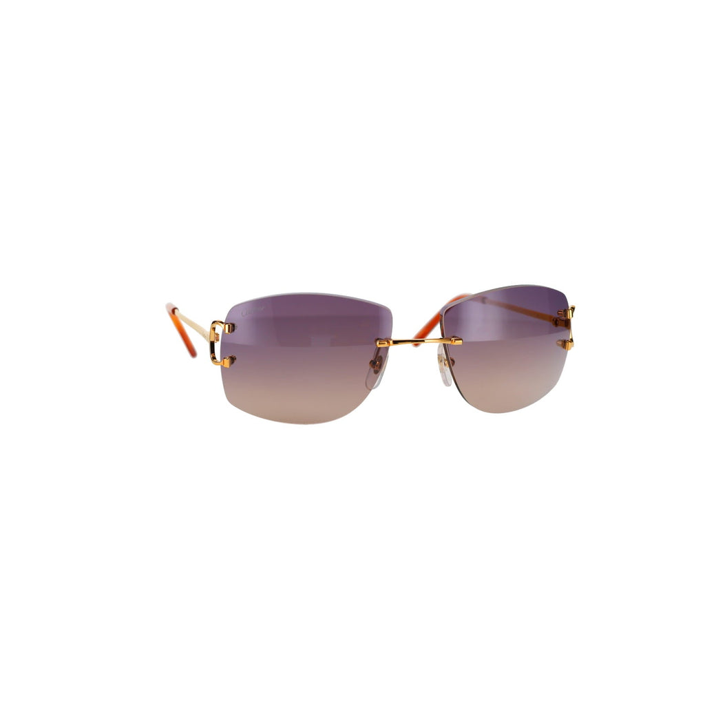 CT0008RS Signature C Sunglasses