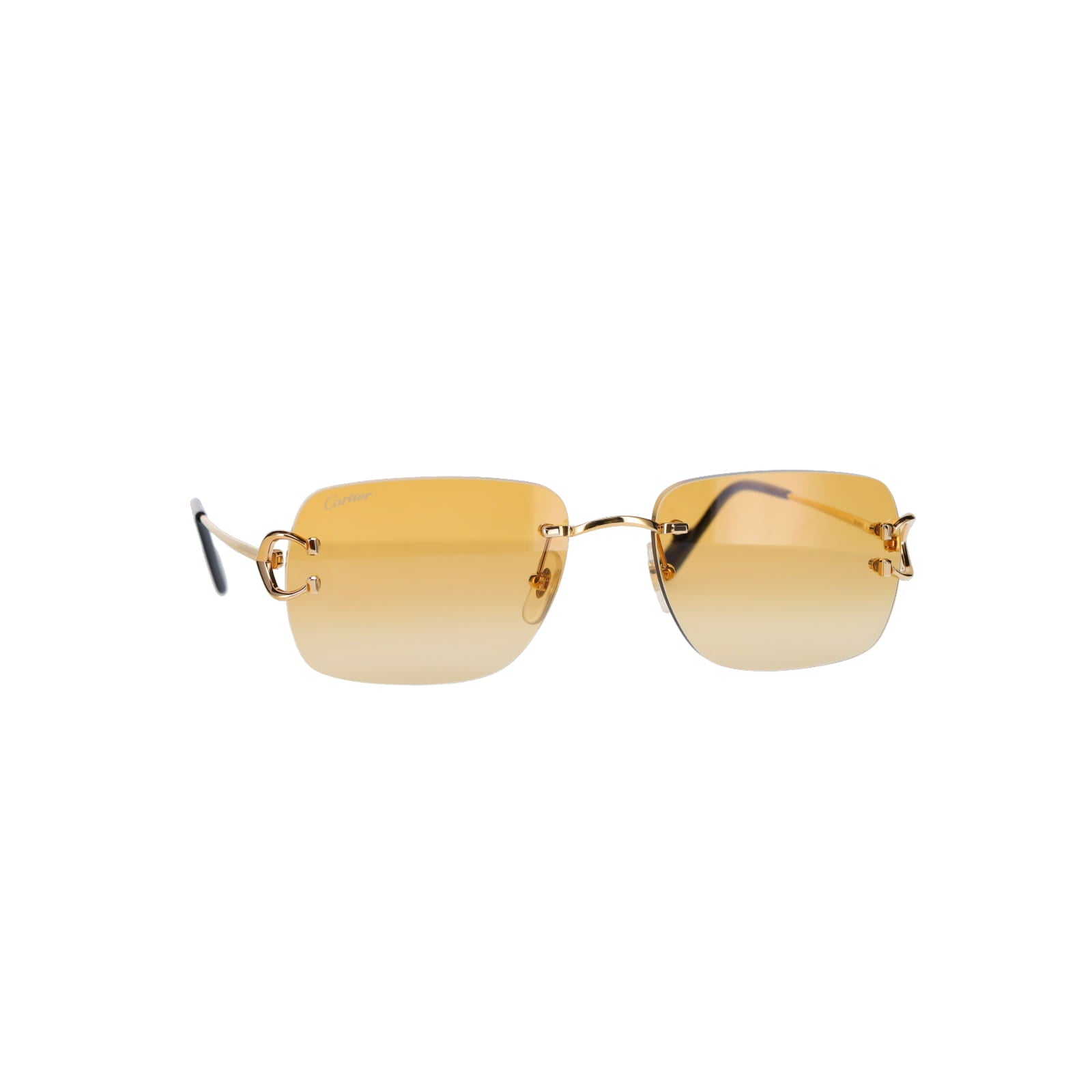 CT0330S Signature C  Sunglasses