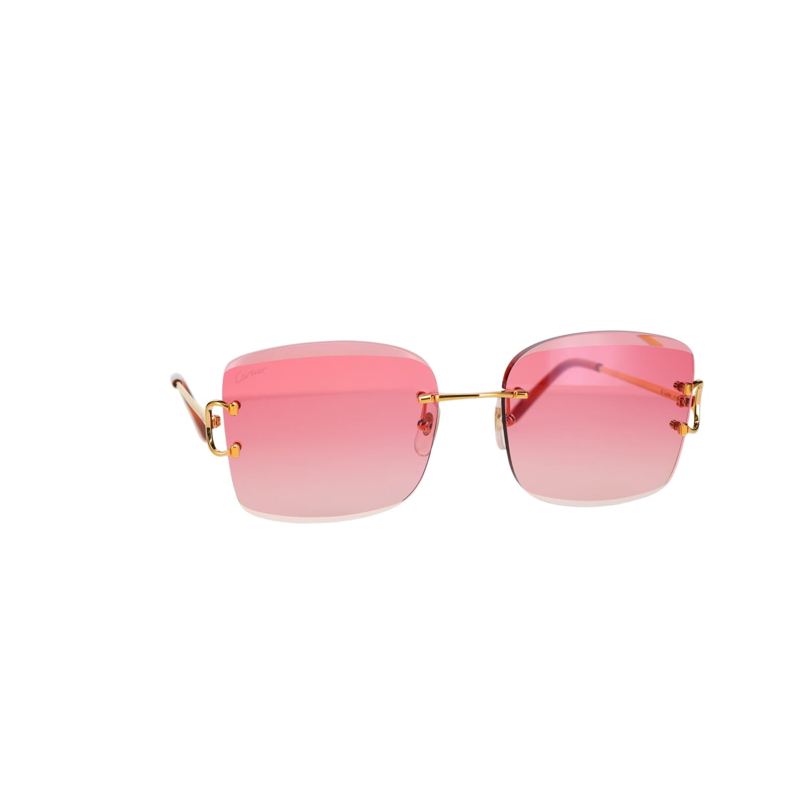 CT0007RS Signature C Sunglasses