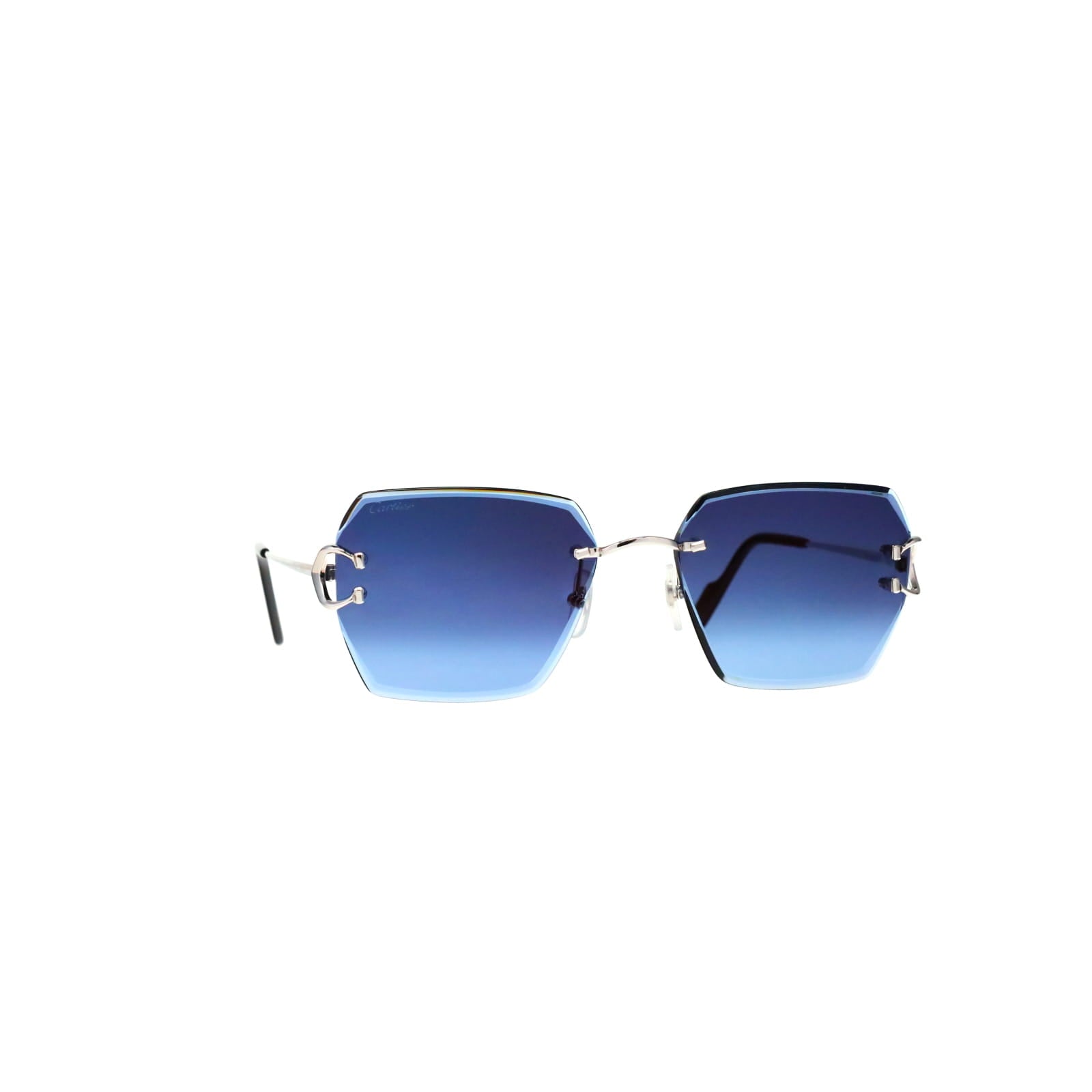 CT0466S  Signature C Sunglasses