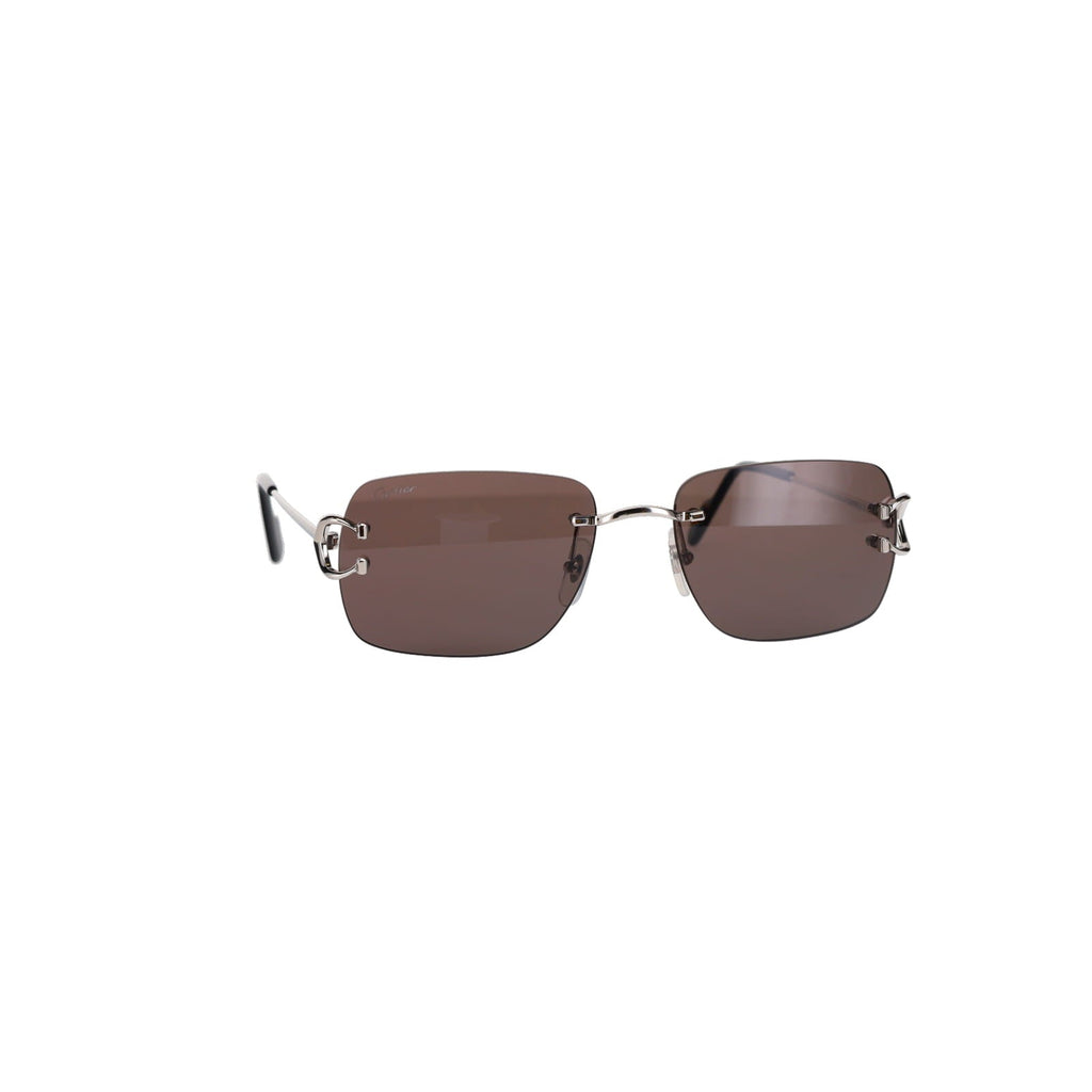 CT0330S Signature C  Sunglasses