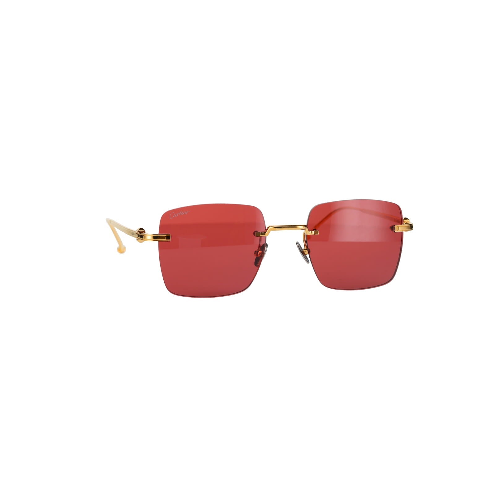 CT0403S Pasha Sunglasses