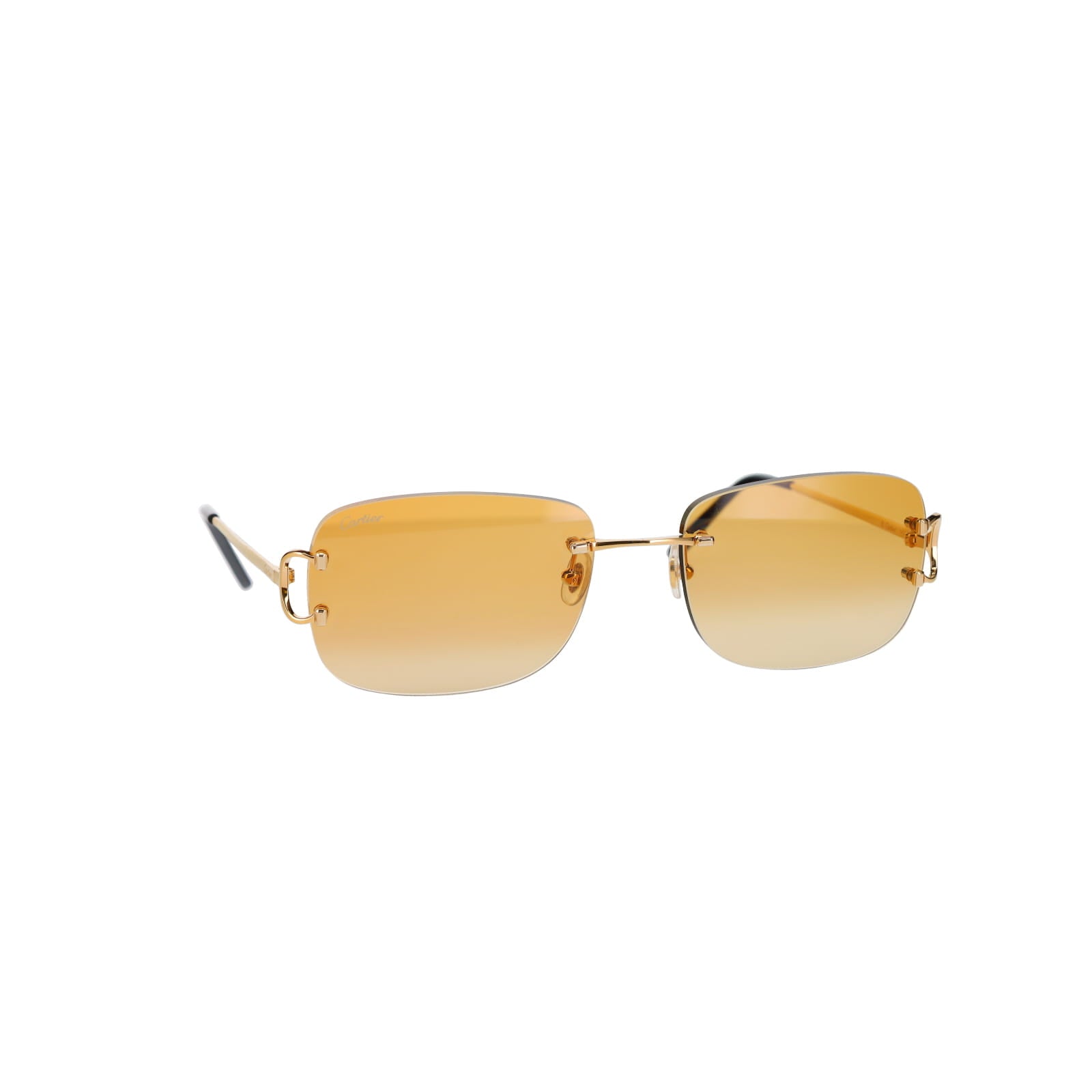 CT0011RS Signature C Sunglasses