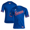 Kansas Jayhawks Reverse Retro Baseball Jersey - Royal