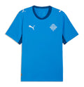 Iceland National Team 2026 Home Jersey - Royal